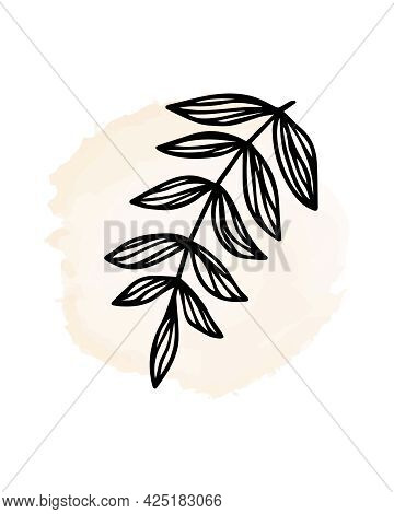 Branch With Leaves On Watercolor Round Spot Background. Hand Drawn Plant Sprig For Social Media Cove