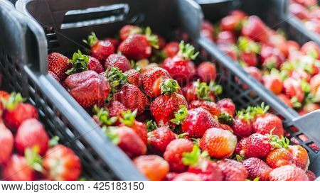 Fresh Strawberries In Plastic Crates In A Suppermarket