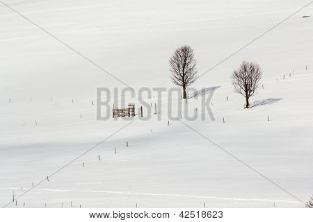 Winter im Schwarzwald