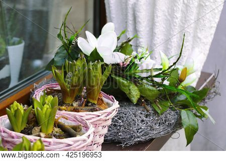 There Is A Flowerpot With Flowers On The Windowsill