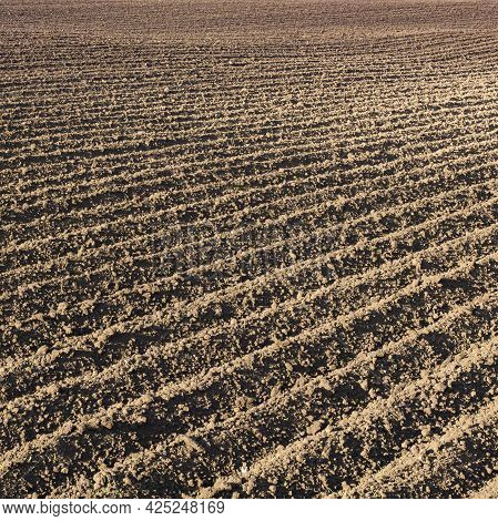 Deep Furrows In A Plowed Field Close-up