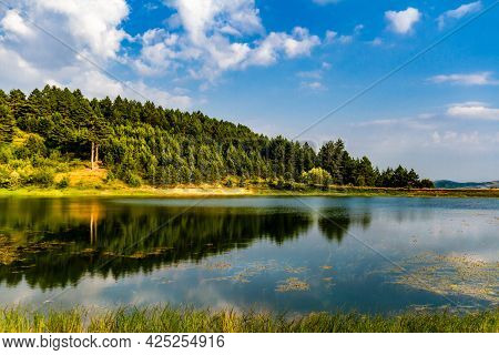 Picturesque, Summer Landscape.  View Of A Peaceful Pond Surrounded By Lush Vegetation. Korca (korça 