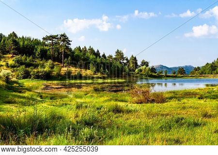 Picturesque, Summer Landscape.  View Of A Peaceful Pond Surrounded By Lush Vegetation. Korca (korça 