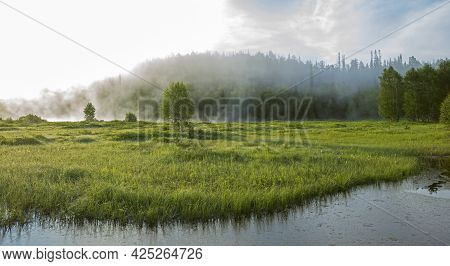 Foggy Summer Morning Sunrise On A Riverside Flooded Meadow With  Trees And Lush Green Grass At Oulan