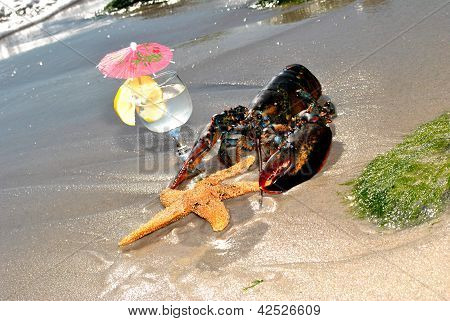 Lobster and Starfish on the Beach with a Glass of Lemonade