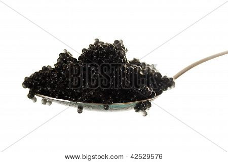 Caviale nero su un cucchiaio