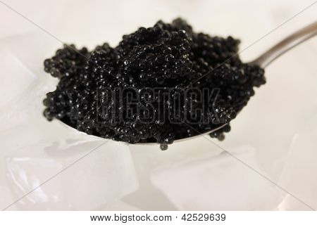 Caviale su ghiaccio