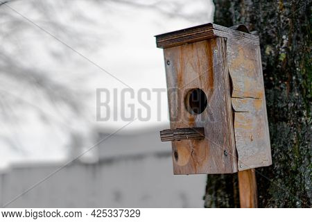 Birdhouse For Birds Fixed On A Tree