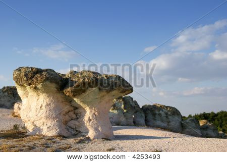 Grotta di funghi
