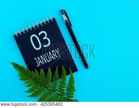 January 3th. Day 3 Of Month, Calendar Date. Black Notepad Sheet, Pen, Fern Twig, On A Blue Backgroun