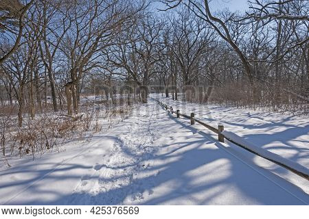 Forest Trail In The Winter In Crabtree Nature Center In Illinois