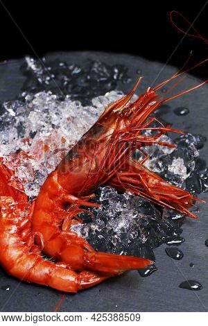 Italian Red Prawns Or Shrimps On Ice Known As Gambero Rosso