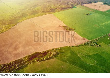 Aerial View Of Agricultural And Green Fields In Countruside. Nature Landscape In Summer Day