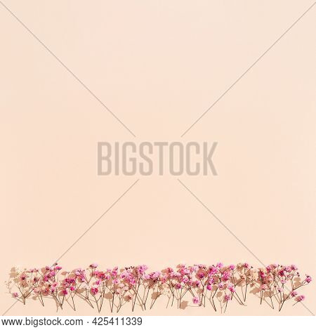 Small Pink Flowes On Beige Colored Background. Floral Card Wit Nature Blooming Plant. Minimal Style 