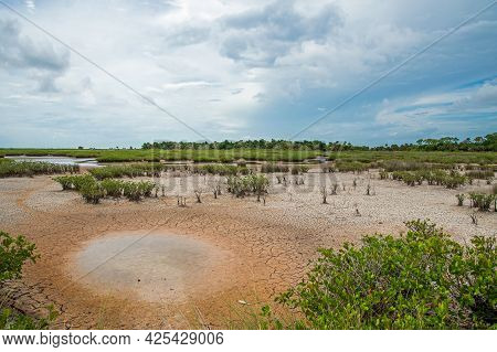 Dry Conditions At Merritt Island National Wildlife Refuge.