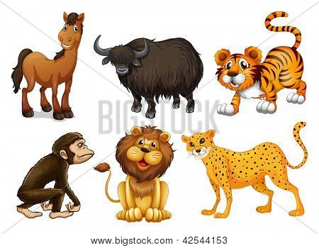 Ilustración de los diferentes tipos de animales de cuatro patas sobre un fondo blanco