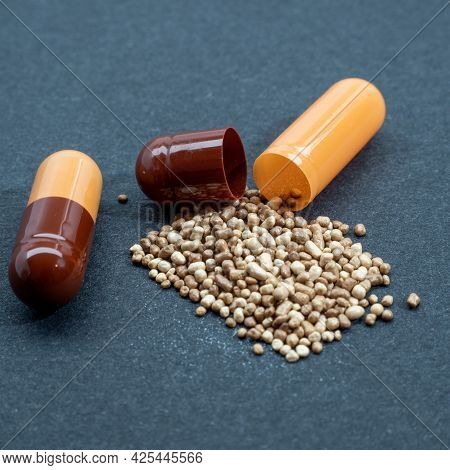Capsules On A Black Background. Capsules Lie On A Black Background. Close Up.