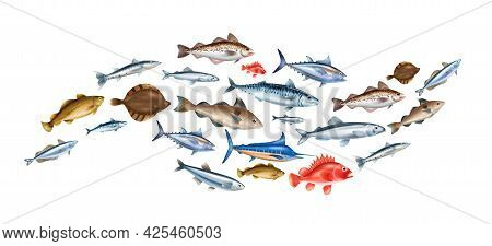 Sea Fish Realistic Concept With Different Species Symbols Vector Illustration