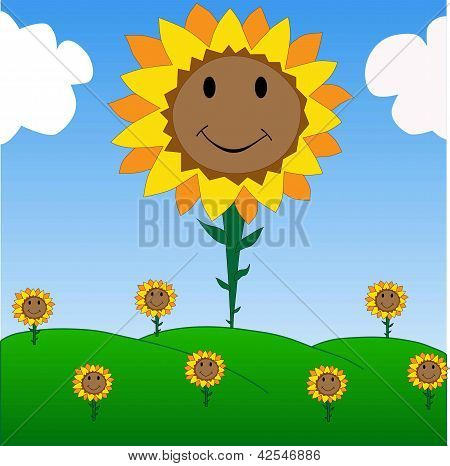 Sun flowers