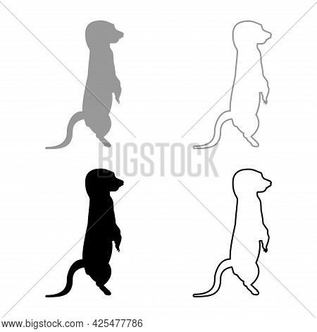 Meerkat In Pose Suricata Suricatta Silhouette Grey Black Color Vector Illustration Solid Outline Sty