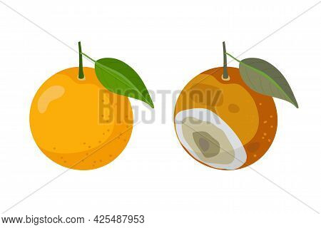 Fresh Orange Fruit And Bad Rotten Orange Isolated On White. Citrus Fruit Becomes Spoiled. Concept Of