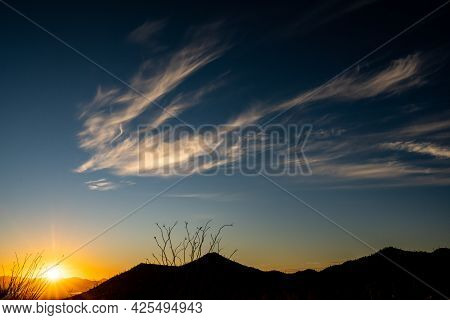 Phoenix Like Cloud Over Ocatillo At Sunet
