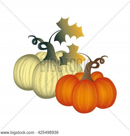 Realistic Round Flat Art Pumpkins In Off-white An Bright Orange Colors With Stems And Leaves.