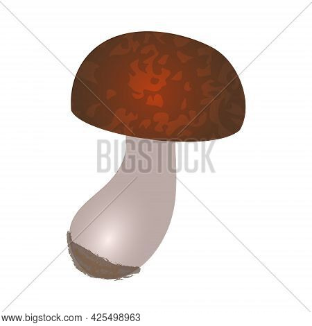 Flat Art Mushroom With A Round Spotted Brown Cap And White Leg With Black Soil On Its End Isolated O