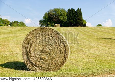 Harvest Time: Big Round Hay Bale On A Mowed Summer Meadow Photographed In The Foreground, In The Bac