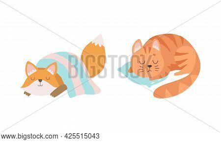Cute Baby Animals Sleeping In Beds Set, Adorable Fox Cub And Kitten Fell Asleep On Pillows Cartoon V