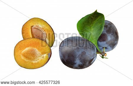 Two Plums Isolated On A White Background. Whole Plum And Plum Cut With Leaf And Bone. Ripe Blue Swee