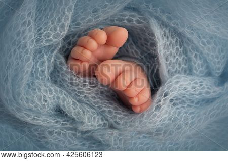 Feet Of A Newborn Close-up In A Woolen Blanket. Pregnancy, Motherhood, Preparation And Expectation O