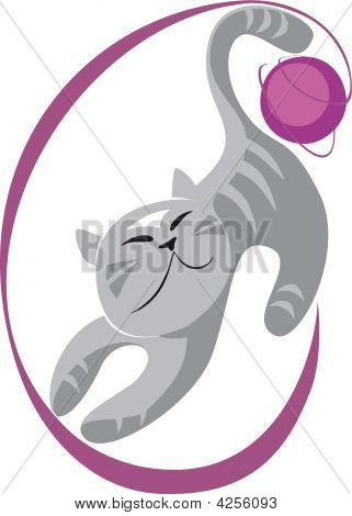 Gatto