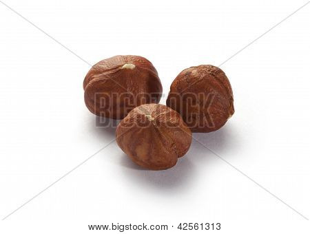 Nocciola
