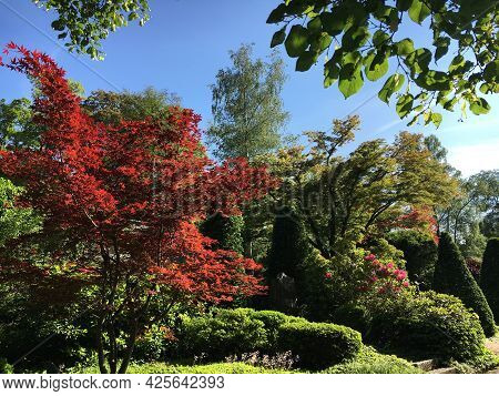 Park At Feldli Cemetery In Saint Gallen (park Auf Dem Friedhof Feldli In Sankt Gallen), St. Gallen -