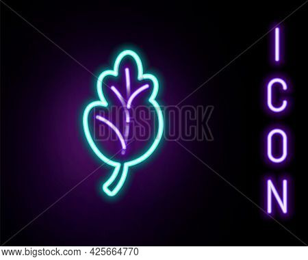 Glowing Neon Line Korean Food Kimchi, Cabbage Icon Isolated On Black Background. Colorful Outline Co