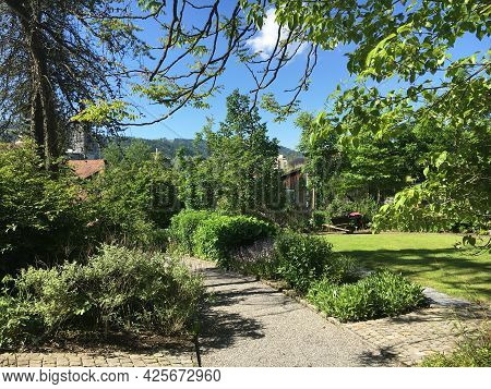 Landscape Of The Botanical Garden St. Gallen Or Landschaft Des Botanisches Garten St. Gallen, Schwei
