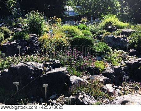 Landscape Of The Botanical Garden St. Gallen Or Landschaft Des Botanisches Garten St. Gallen, Schwei