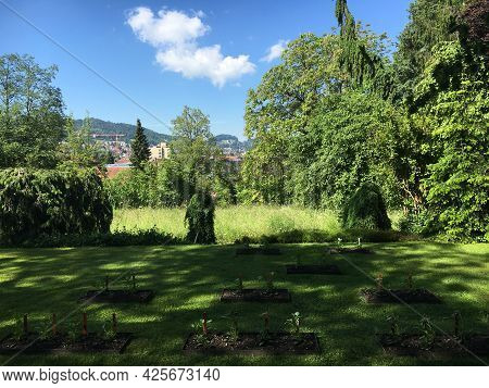 Landscape Of The Botanical Garden St. Gallen Or Landschaft Des Botanisches Garten St. Gallen, Schwei