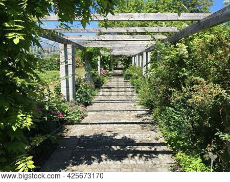 Landscape Of The Botanical Garden St. Gallen Or Landschaft Des Botanisches Garten St. Gallen, Schwei