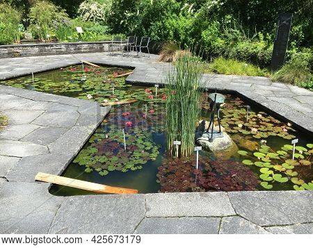 Landscape Of The Botanical Garden St. Gallen Or Landschaft Des Botanisches Garten St. Gallen, Schwei