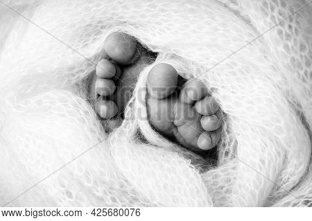 Feet Of A Newborn Close-up In A Woolen Blanket. Pregnancy, Motherhood, Preparation And Expectation O