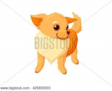 Standing Chihuahua Pet. Purebreed Dog Companion Isolated In White Background. Vector Illustration In