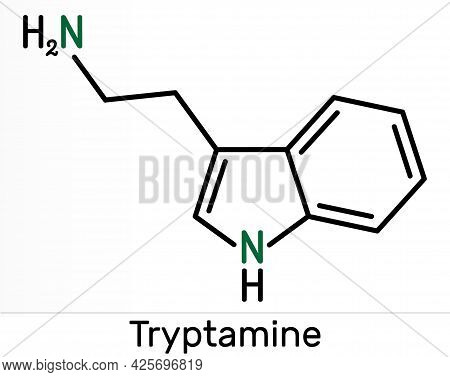 Tryptamine Molecule. It Is Alkaloid, Aminoalkylindole. Skeletal Chemical Formula. Illustration