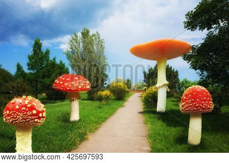 Fabulous Landscape With A Path And Large Mushrooms Around It In A Recreation Park. A Fantastic Resti
