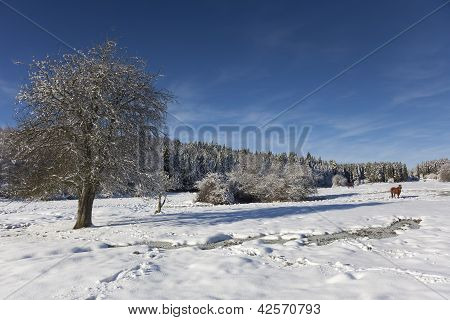 Gorbea Natural Park, Alava, baskiske land, Spanien