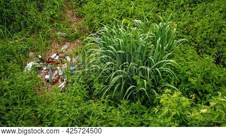 There Is A Lot Of Rubbish In Nature, Plastic Is Thrown Away In Nature, Environmental Pollution. Plas