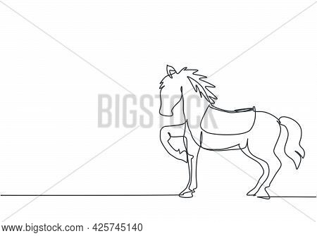 Continuous One Line Drawing A Circus Horse Stands On The Show Arena, Lifting One Of Its Legs While P