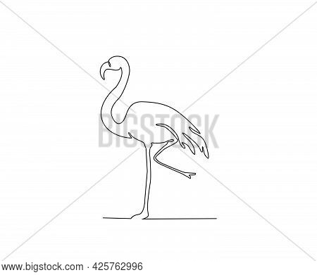 Pelican Continuous Line Art Drawing Style. Minimalist Black Pelecanus Bird Outline. Editable Active 