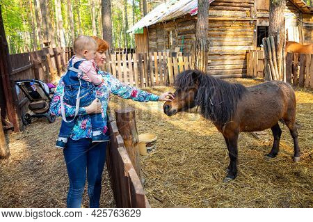 Kemerovo, Russia - 23.05.2021: Farm Animals In A Private Contact Zoo Husky Land In Kemerovo, Russia